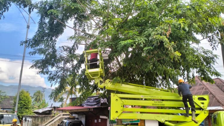 Pastikan keamanan masyarakat, petugas DLH lakukan pemangkasan pohon pelindung yang lapuk termakan usia.(Ist)