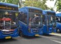 Bus Trans Padang