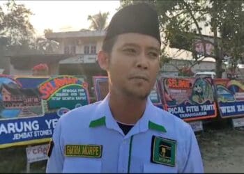 Ketua DPC PPP Kota Solok, Fakhria Murpe.(Ist)