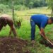 Proses pembuatan lubang biopori di Taman Bidadari.(Ist)