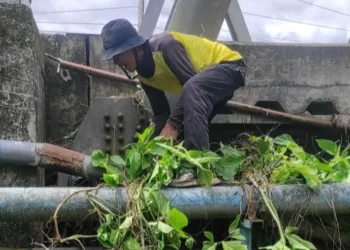 Petugas kebersihan DLH Kota Solok membersihkan salter jembatan dari rumput dan sampah.(Ist)