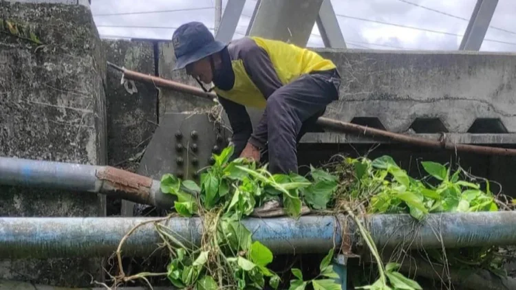 Petugas kebersihan DLH Kota Solok membersihkan salter jembatan dari rumput dan sampah.(Ist)