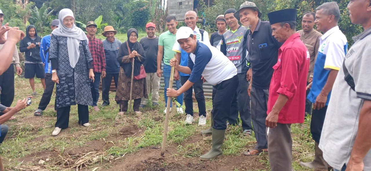 PT CNMS Tanam Jagung Perdana Bersama Petani di Payo Solok