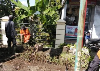 Petugas DLH Kota Solok melakukan pembersihan lokasi TPS liar untuk dijadikan kebun bunga.(Ist)