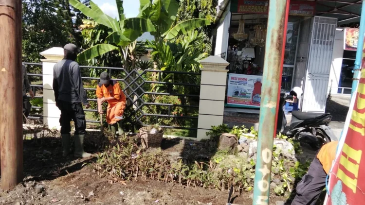 Petugas DLH Kota Solok melakukan pembersihan lokasi TPS liar untuk dijadikan kebun bunga.(Ist)