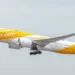 Maskapai Scoot Airlines