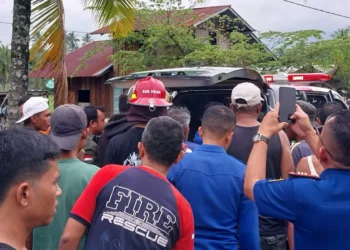 Evakuasi korban yang tertimpa pohon kelapa di Nagari Kotobaru, Kabupaten Solok.(Ist/BPBD)