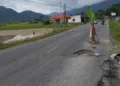 Jalan Nasional Padang-Painan ditanam Pohon Pisang Oleh Warga