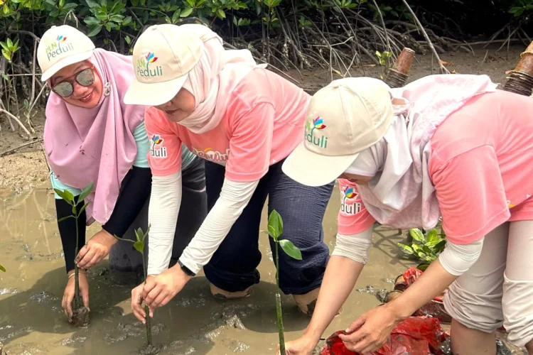 PT PLN (Persero) menerapkan kesetaraan gender dan inklusivitas di lingkungan kerja berstandar internasional.