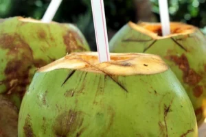 Mengapa Anda Harus Minum Air Kelapa?