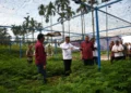 Dirut PT Semen Padang Indrieffouny Indra bersama rombongan meninjau nursery kaliandra merah di Politeknik Pertanian Negeri Payakumbuh beberapa waktu lalu.
