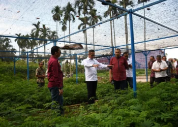 Dirut PT Semen Padang Indrieffouny Indra bersama rombongan meninjau nursery kaliandra merah di Politeknik Pertanian Negeri Payakumbuh beberapa waktu lalu.