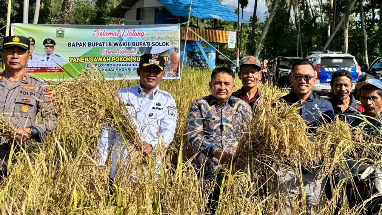 Lebih Irit Biaya, Bupati Solok Jon Pandu Minta Seluruh Petani Padi Terapkan SPM