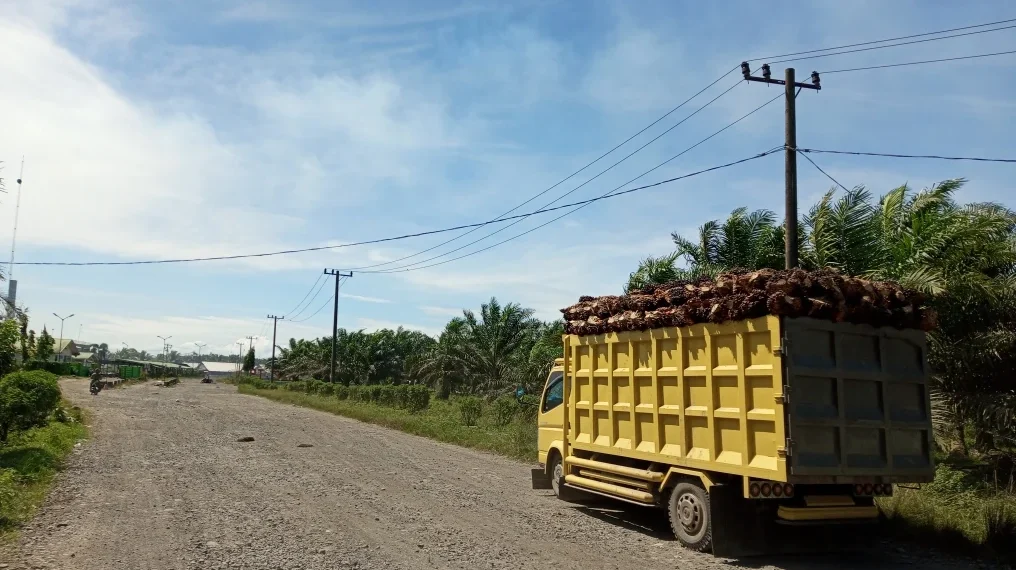 Truk Pengangkut Sawit di Pabrik PT SJAL di Pessel