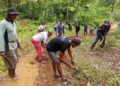 Petani Palo Banda Nang Gampu Koto Kandis, Lengayang Benahi Jalan Tani Sepanjang 10 Kilometer