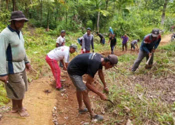Petani Palo Banda Nang Gampu Koto Kandis, Lengayang Benahi Jalan Tani Sepanjang 10 Kilometer
