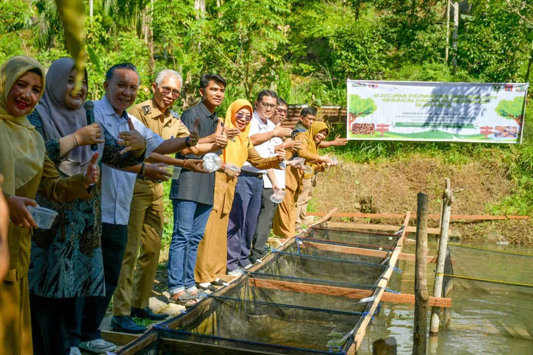 Semen Padang Uji Coba Maggot sebagai Pakan Ikan, Solusi Mandiri untuk Lingkungan dan Ketahanan Pangan