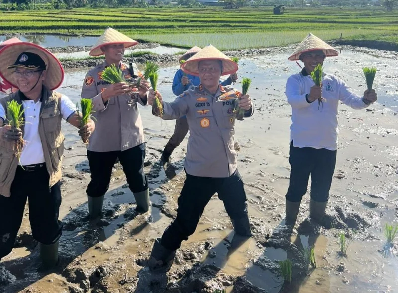 UNP Berkolaborasi dengan Polda Sumbar dalam Program Penanaman Padi