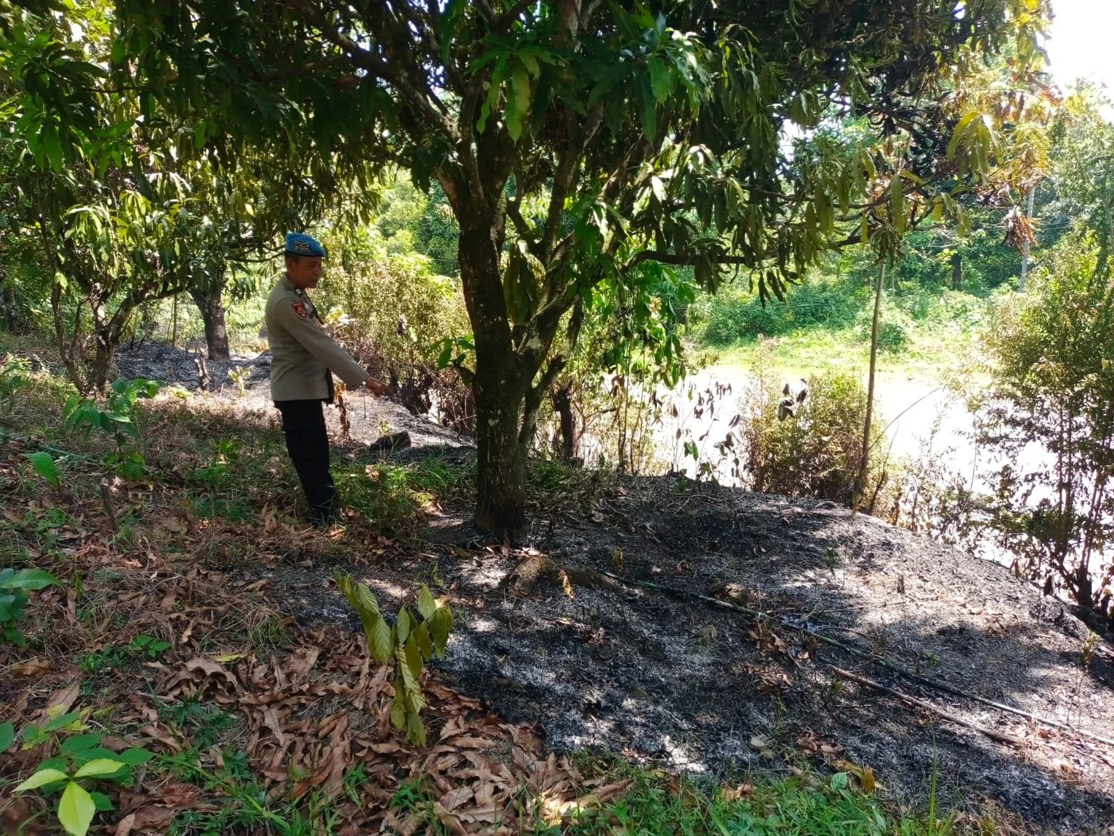 Usai Berjibaku Padam Api Ladang, Seorang Peladang di Pessel Ditemukan Meninggal