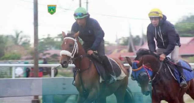 Alek Anak Nagari Pabasko, 59 Kuda dari Berbagai Daerah Siap Berlaga di Gubernur Cup III