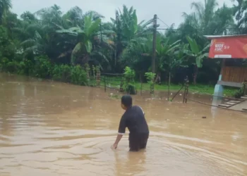 Kondisi banjir di salah satu kampung di Kabupaten Pesisir Selatan, Kamis (27/11/2025)