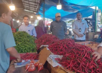 Foto sidak pasar oleh Kepala Perwakilan BI Sumbar bersama Tim BI pada bulan Oktober untuk memperoleh informasi harga dan jumlah pasokan cabai merah, bawang merah dan beras d/r pengendalian inflasi