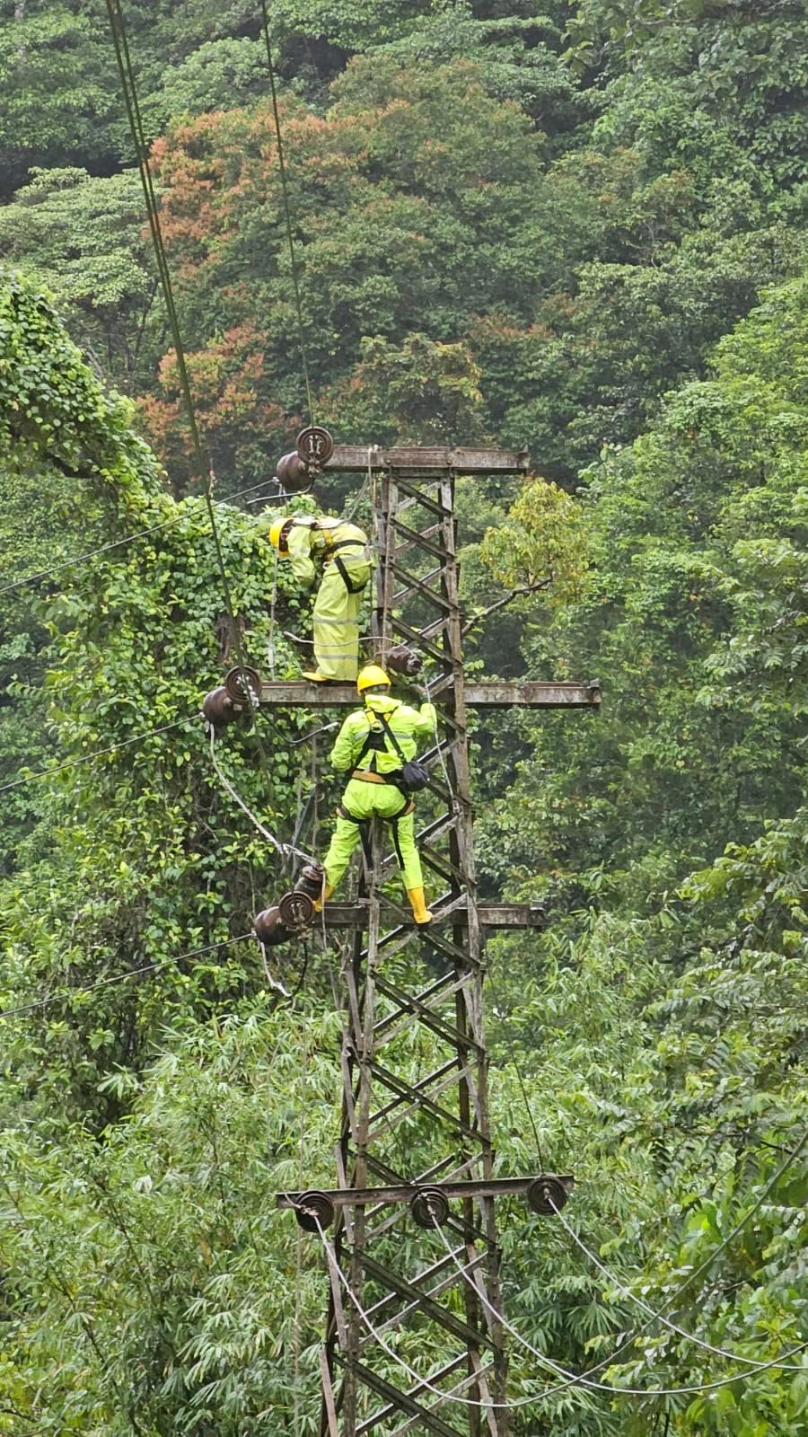 PLN Sumatera Barat Kerahkan Ratusan Personel Perkuat Siaga Kelistrikan akibat Cuaca Ekstrem