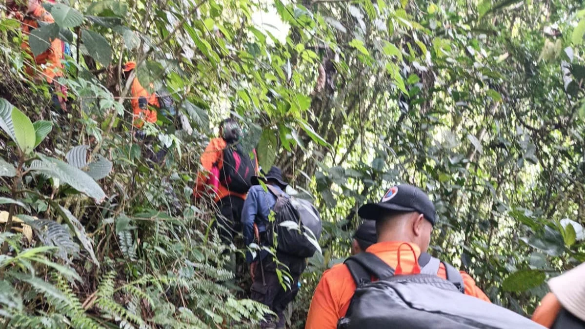 Pergi Memikat Burung, Dua Pemuda Sungai Nanam Solok Dilaporkan Hilang