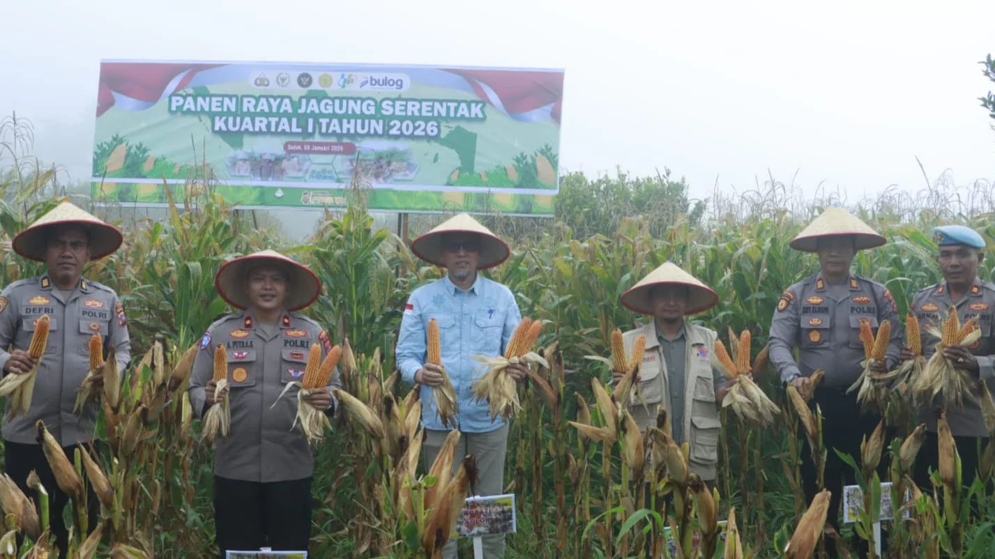 Polres Solok Arosuka Panen 1 Ton Jagung