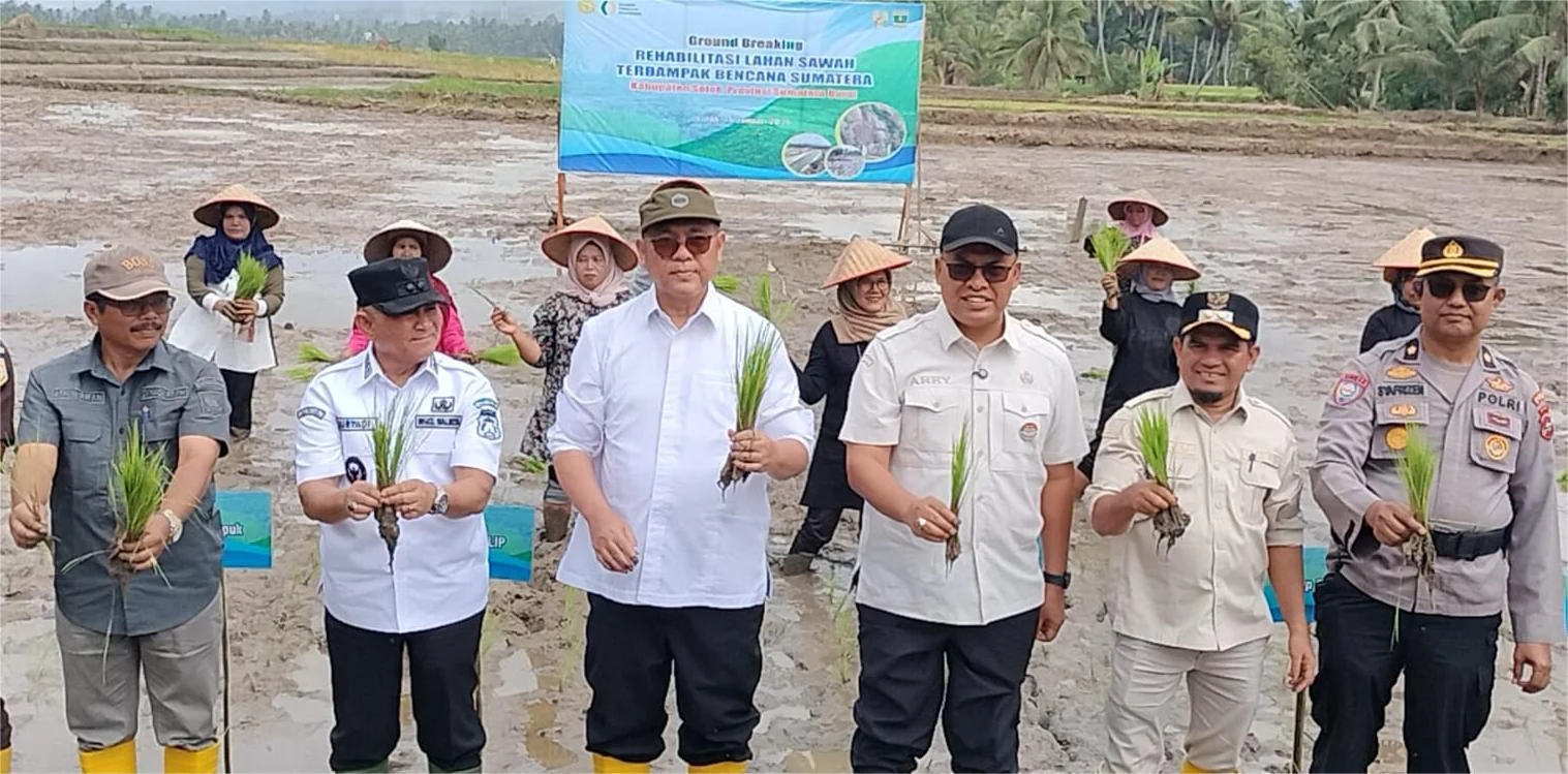 Dimulai dari Kabupaten Solok, Pemerintah Rehabilitasi 6.451 Ha Sawah Rusak di Sumbar