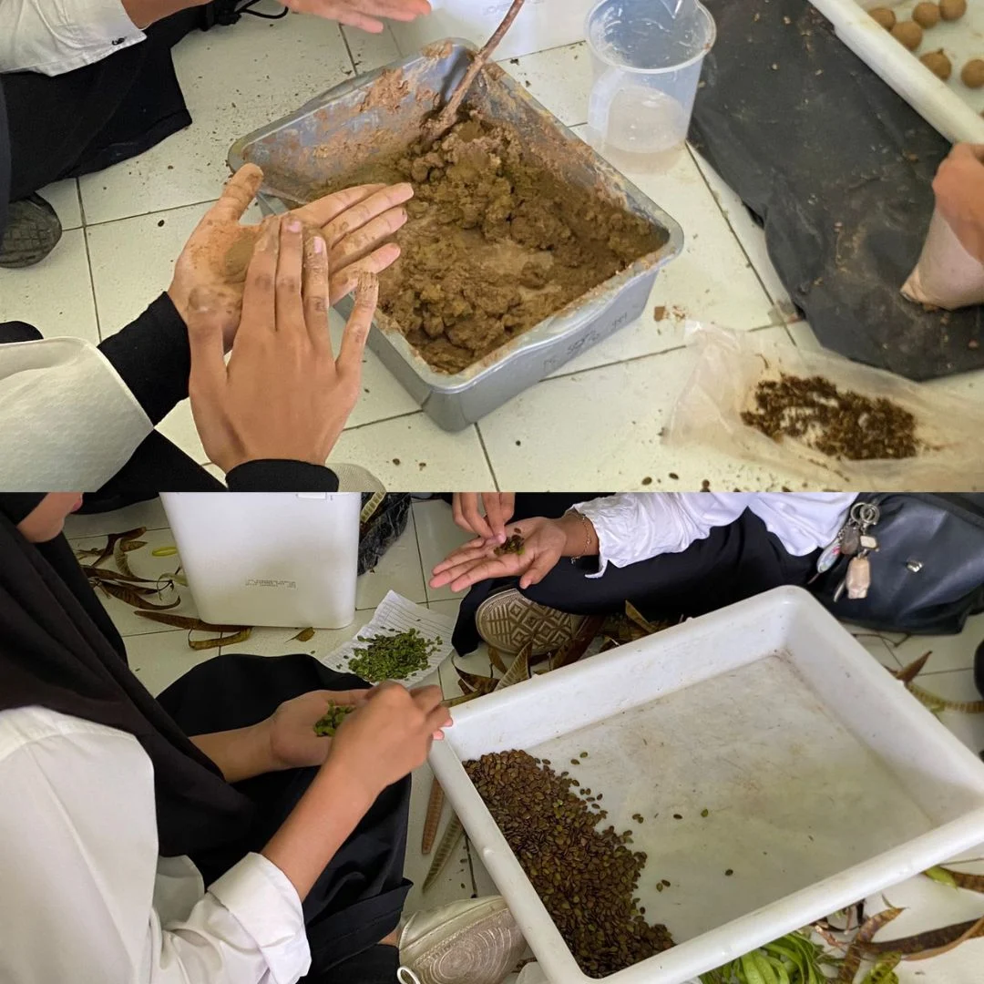 Tim Riset KHS UNP Sebar Bola Benih Pulihkan Hutan Gundul di Kawasan Terdampak Bencana