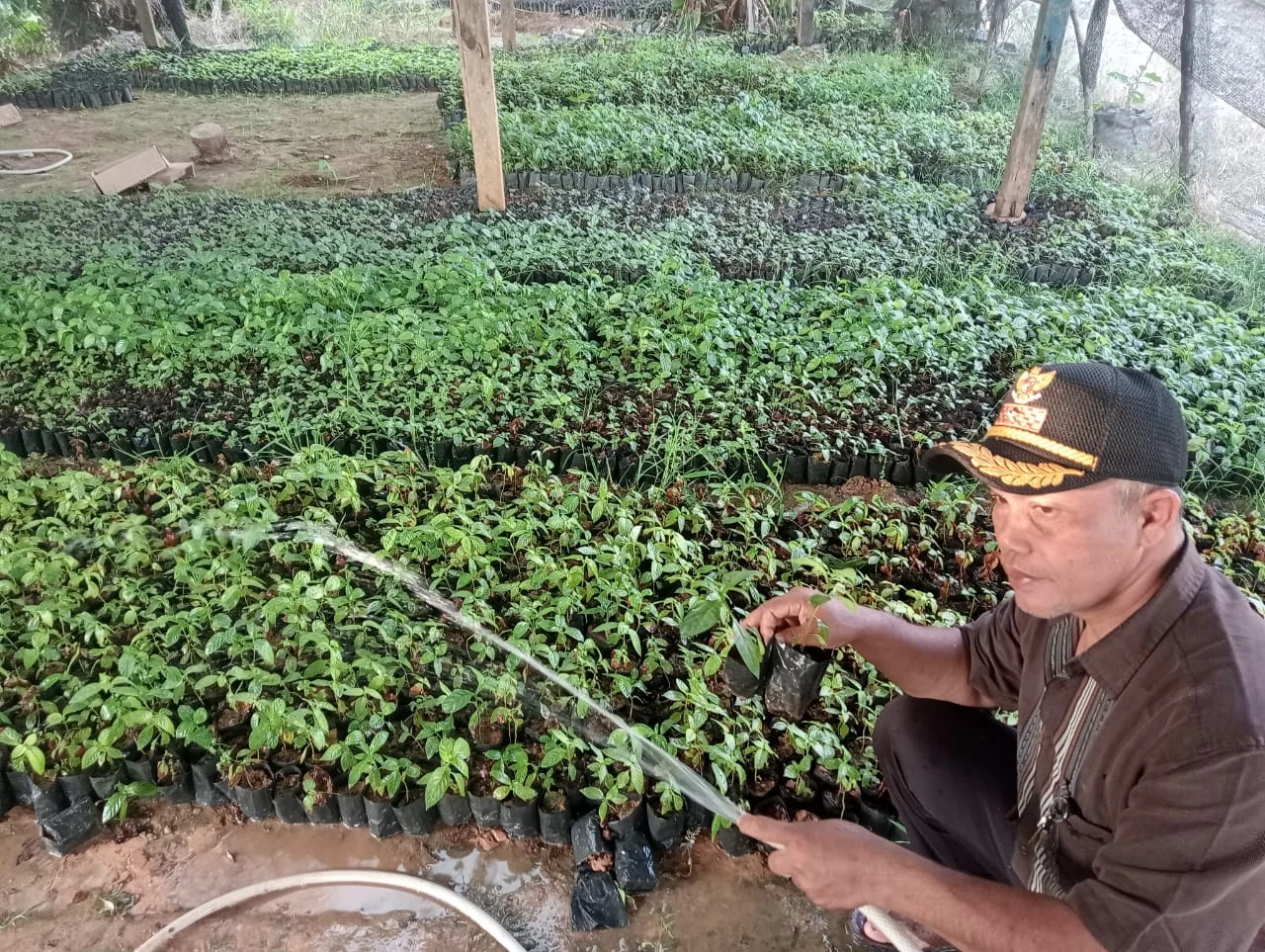 Wali Nagari Koto Taratak Buktikan Hobi Berkebun Bisa Jadi Ladang Rezeki