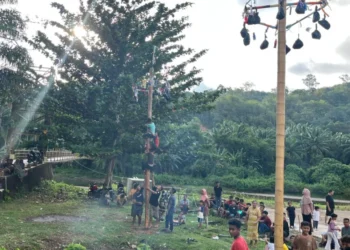 Suasana Panjat Pinang di Kampung Ganting Kubang, Lengayang Pessel, Senin (23/3/2026).