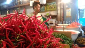 Sehari Jelang Idul Adha Semua Jenis Cabai di Pessel Kompak Naik, Keriting Tembus Rp60 Ribu per Kg