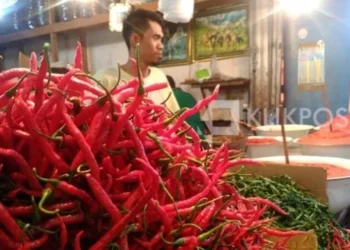 Cabai Keriting (Klikpositif/Katasumbar)