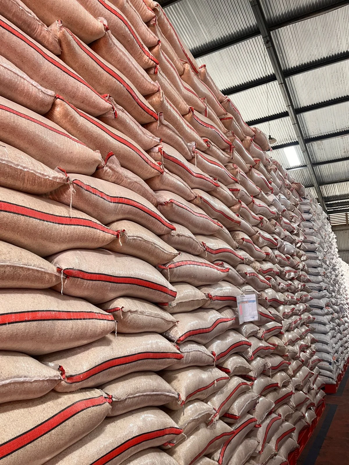 Bulog Sumbar Siap Hadapi Puncak Panen Raya, Serapan Gabah Capai 52 Persen hingga April 2026