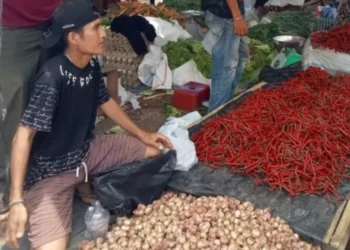 Suasana Pedagang Cabai di Pasar Painan, Pessel