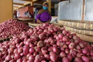 Harga Bapok Padang Bergerak Naik, Bawang Merah Super Tembus Rp46 Ribu