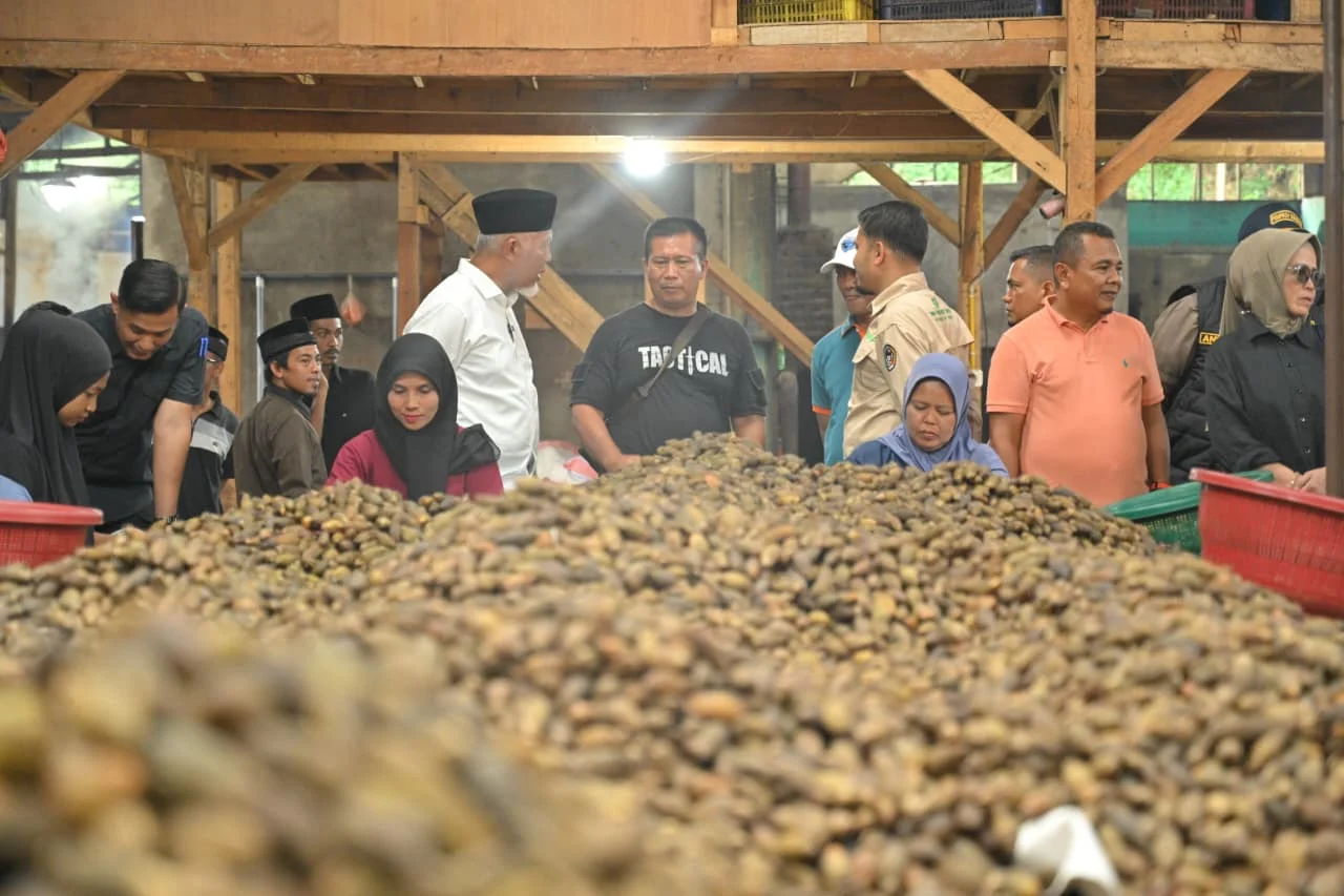 Gubernur Mahyeldi: Investasi Pengolahan Pinang Gerakkan Ekonomi Masyarakat