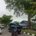 Pohon Pelidung besar di salah satu titik Kota Padang (Klikpositif.com)