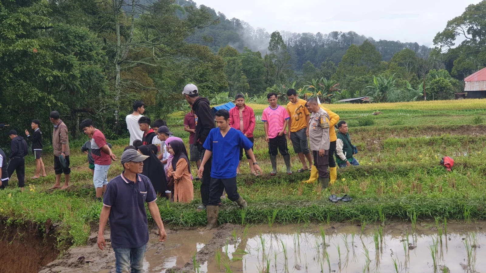 2.000 Warga Situjuah Ladang Laweh Terisolasi, DPRD Desak Pemda Kirim Alat Berat