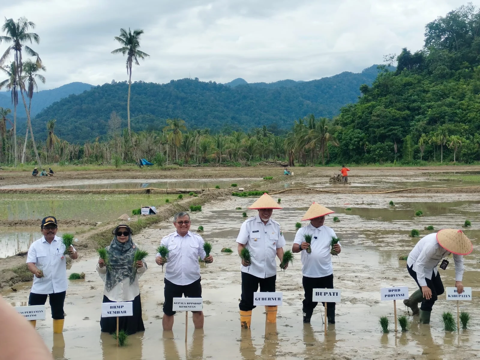 Sumbar Tuntaskan Rehabilitasi Sawah Rusak Ringan dan Sedang Pascabencana, Fokus Beralih ke Lahan Hilang dan Rusak Berat