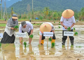Gubernur Mahyeldi saat tanah seretak di Lubuk Alung