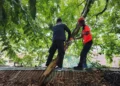 Pohon tumbang timpa warung di Padang