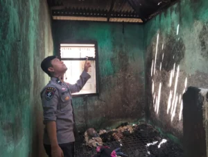 Diduga Akibat Korsleting, Rumah Pasutri di Sutera Dilalap Api