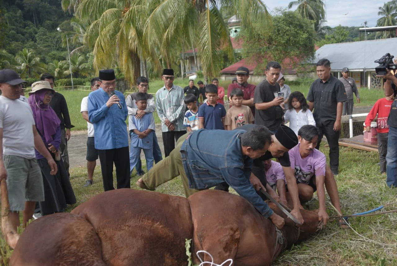 Sapi Kurban Bantuan Presiden Disembelih di Pauh, Wawako Padang: Simbol Kepedulian untuk yang Sedang Bangkit Pascabencana