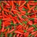 Rawit Merah (net)