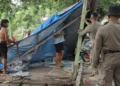 Lapak PKL Digusur Pol PP di Padang