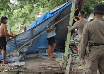 Lapak PKL Digusur Pol PP di Padang