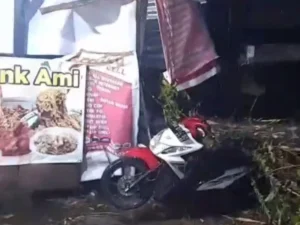 Hujang Disertai Angin Kencang, Pohon Tumbang Timpa Warung dan Sepeda Motor di Tunggul Hitam Padang